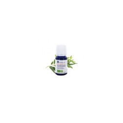 Huile essentielle d'eucalyptus globulus ab 10ml