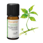 Huile essentielle gaulthérie couchée bio 10ml Huile essentielle gaulthérie couchée bio 10ml
