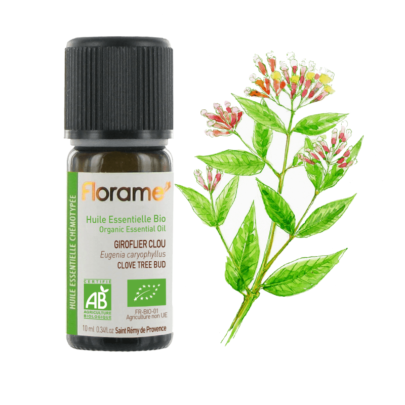 Huile essentielle giroflier clou bio 10ml Huile essentielle giroflier clou bio 10ml