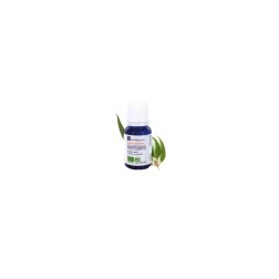 Huile essentielle d'eucalyptus radiata ab 10ml