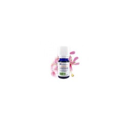 Huile essentielle de geranium bourbon ab 5ml