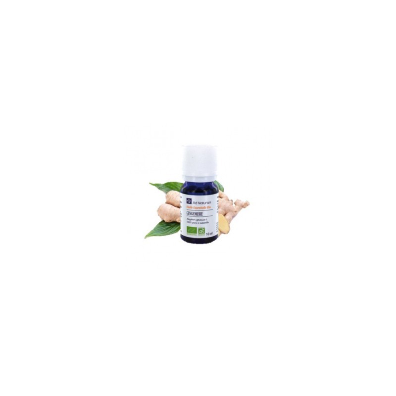 Huile Essentielle Gingembre AB 5ml Huile Essentielle Gingembre AB 5ml