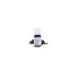 Huile Essentielle Girofle Clou AB 10ml Huile Essentielle Girofle Clou AB 10ml