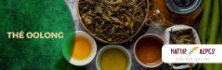 Thé oolong